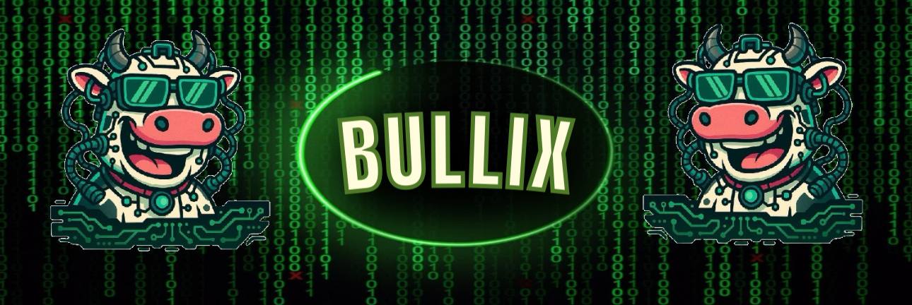 BULLIX Banner with Matrix Background